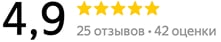 Оценка 4,9, 25 отзывов, 42 оценки